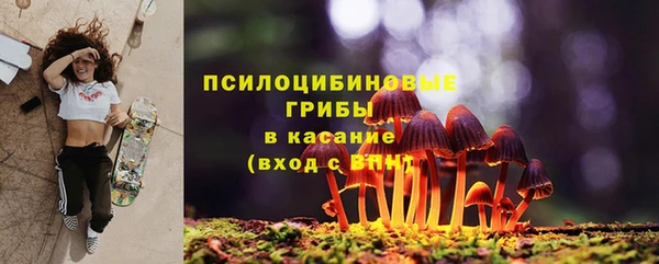 спиды Аркадак