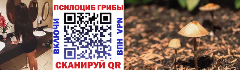 Псилоцибиновые грибы GOLDEN TEACHER  мега tor  Афипский 